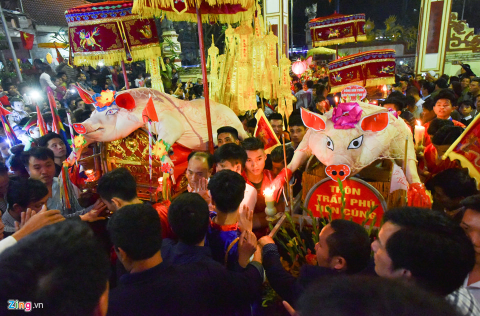 Ông lợn ngày ăn hoa quả, đêm ngủ mắc màn ở hội rước La Phù